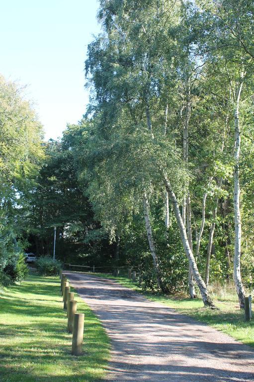 Haus Strandgut Ahrenshoop Buitenkant foto